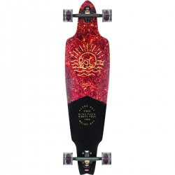 Longboard Globe Prowler Classic Tortoise Black 2019 pour homme