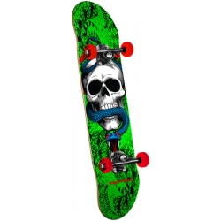 Skate Complet Powell Peralta Skull and Snake 7.75 2019 pour homme