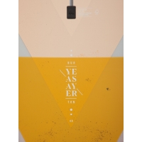 Board Burton Yeasayer Flying V 2020