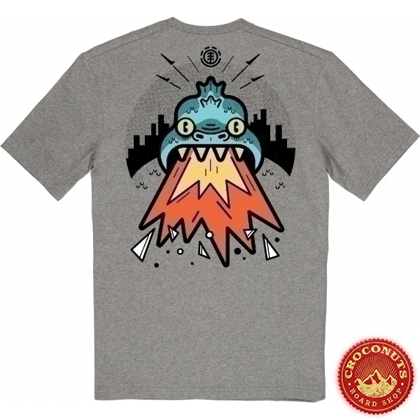 Tee Shirt Element Rickhat Grey Heather 2020