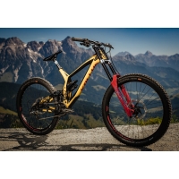 Vtt Kellys Noid 90 29 2020