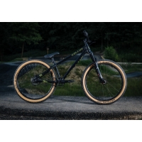 Vtt Kellys Whip 70 2020