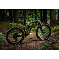 Vtt Kellys Thorx 50 29 2020