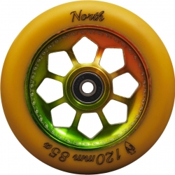Roue North Pentagon Gum Rasta 120mm 2020 pour