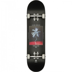 Skate Complet Globe G1 Palm Off 8 2020 pour homme