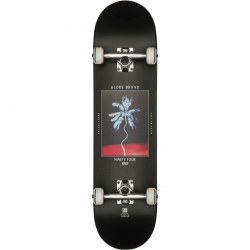 Skate Complet Globe G1 Palm Off 8 2022 pour homme, pas cher