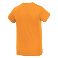 Tee Shirt Picture Basement Lofoten Yellow 2021