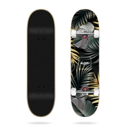 Skate Complet Aloiki Kuta 7.75 2021 pour