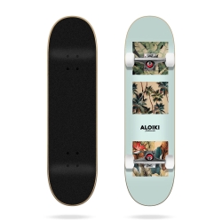 Skate Complet Aloiki Zicatela 7.75 2023 pour
