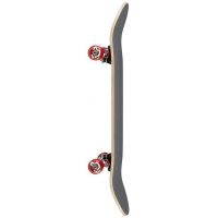 Skate Complet Santa Cruz Classic Dot 7.8 2021