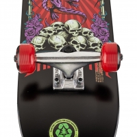 Skate Complet Darkstar Mini Levitate Red 7 2020