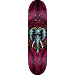 Deck Powell Peralta PP Vallely Elephant Pink 8.25 2025 pour unisexe