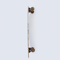 Longboard Arbor Bamboo Fish  2025