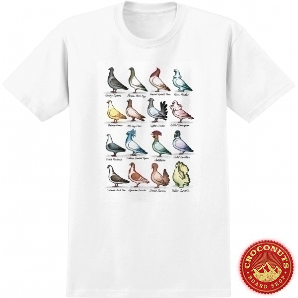 Tee Shirt AntiHero Show Pigeon White 2022