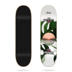 Skate Complet Aloiki Coast 7.6 2023 pour 