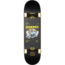 Skate Complet Globe G2 Ramones Road To Run 8.25 2022 pour homme