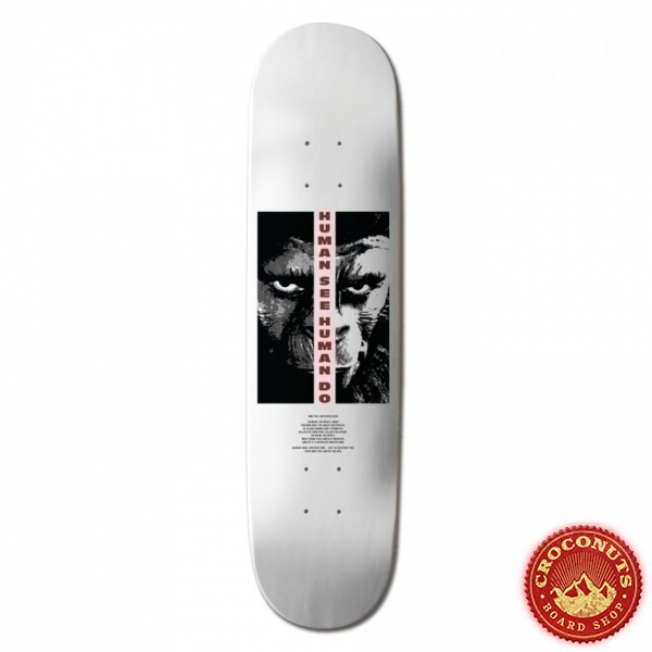 Deck Element Pota Arise 8.5 2022