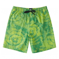 Short DC Shoes Unboxed 18 Limeade 2022 pour , pas cher