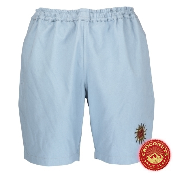 Short Santa Cruz Delfino Tarot Ice Blue 2022