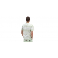 Tee Shirt Vans Peace Of Mind Tie Dye Celadon Green 2022