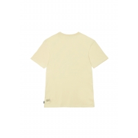 Tee Shirt Picture CC Plasty Wood Ash 2023