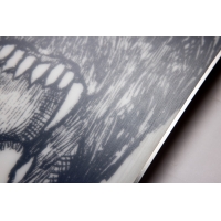 Board Nitro T1 2023