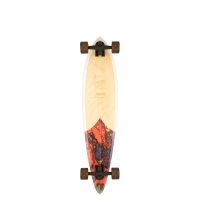 Longboard Arbor Groundswell Fish 2022