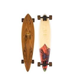 Longboard Arbor Groundswell Fish 2022 pour homme, pas cher