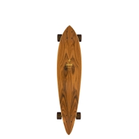 Longboard Arbor Groundswell Fish 2022