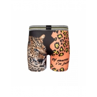 Boxer Pull In Fashion2 Vegan 2022