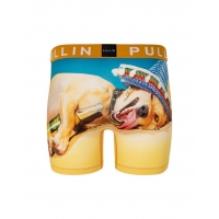 Boxer Pull In Fashion2 Doggy Beer 2022