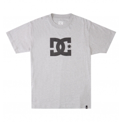 Tee Shirt DC Shoes Star Heather Grey 2023 pour homme