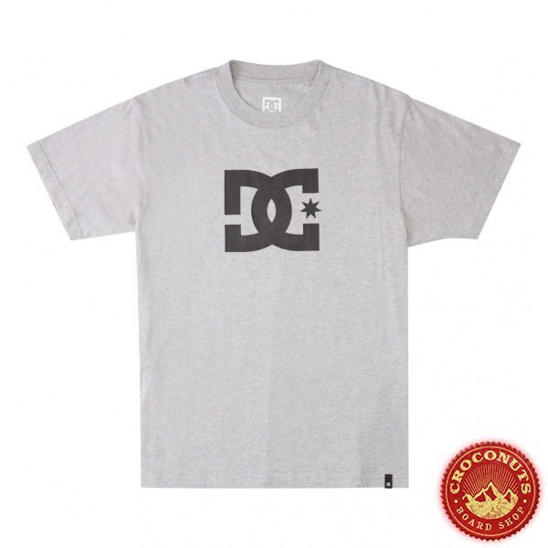 Tee Shirt DC Shoes Star Heather Grey 2023