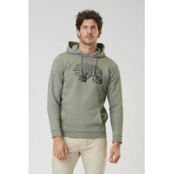 Sweat Picture Bear Branch Green Spray 2023 pour homme