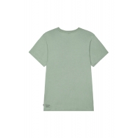 Tee Shirt Picture Sunk Green Spray 2023