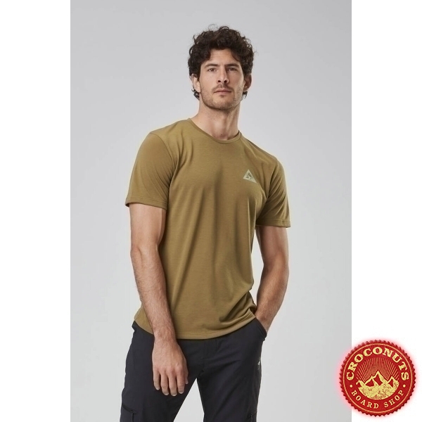 Tee Shirt Picture Timont Dull Gold 2023