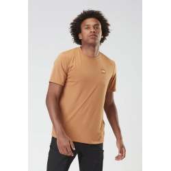 Tee Shirt Picture Dephi Tech Cashew 2023 pour homme