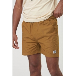 Short Picture Daverson Chocolate 2023 pour homme, pas cher