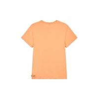 Tee Shirt Picture Namara Pumpkin 2023
