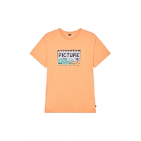 Tee Shirt Picture Namara Pumpkin 2023