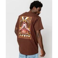 Tee Shirt Jacker Explorer Brown 2023