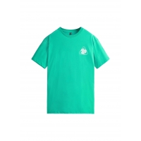 Tee Shirt Picture Coltaya Spectra Green 2023