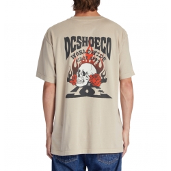 Tee Shirt DC Shoes Defiant Plaza Taupe Enzyme Wash 2023 pour homme