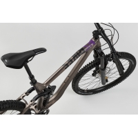 Ns Bikes Define AL 170 2 Raw 2024