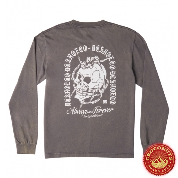 Tee Shirt DC Shoes Twisted LS Magnet Rain Wash 2024