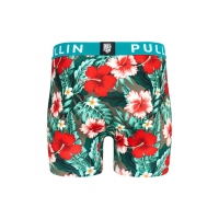 Boxer Pull In Fashion2 Backdoor 2023