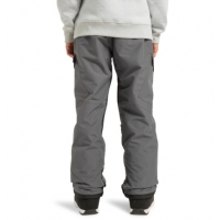 Pantalon DC Shoes Banshee Magnet 2025