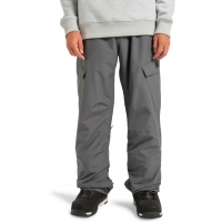 Pantalon DC Shoes Banshee Magnet 2025