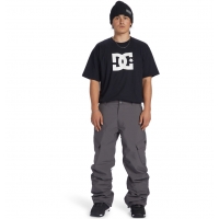 Pantalon DC Shoes Banshee Magnet 2025