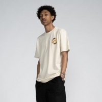 Tee Shirt Santa Cruz Meyer Freestyle Dot Chalk 2024